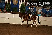 06reg12_1360 proof
