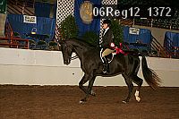 06reg12_1372 proof
