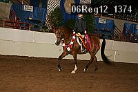 06reg12_1374 proof