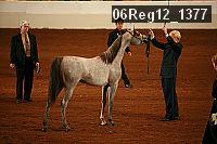 06reg12_1377 proof