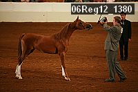 06reg12_1380 proof