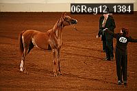 06reg12_1384 proof
