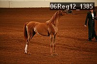 06reg12_1385 proof