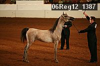 06reg12_1387 proof