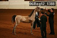 06reg12_1388 proof