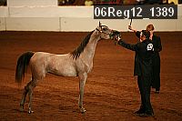 06reg12_1389 proof