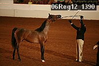 06reg12_1390 proof