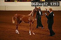06reg12_1393 proof