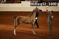 06reg12_1400 proof