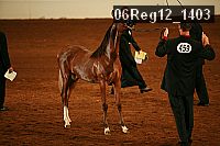 06reg12_1403 proof