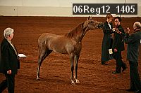 06reg12_1405 proof
