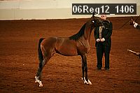06reg12_1406 proof
