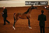 06reg12_1407 proof