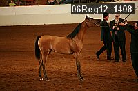 06reg12_1408 proof