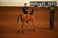 06reg12_1413 proof