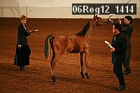 06reg12_1414 proof