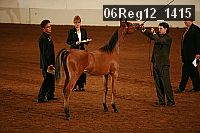 06reg12_1415 proof