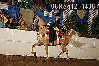 06reg12_1438 proof