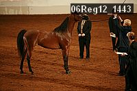06reg12_1443 proof