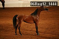 06reg12_1444 proof
