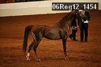 06reg12_1454 proof