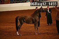 06reg12_1455 proof