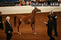 06reg12_1458 proof