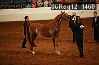 06reg12_1460 proof