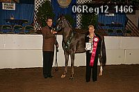 06reg12_1466 proof