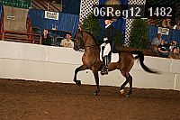 06reg12_1482 proof