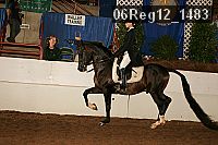 06reg12_1483 proof