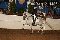 06reg12_1485 proof