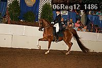 06reg12_1486 proof