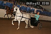 06reg12_1518 proof