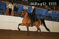 06reg12_1555 proof