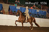 06reg12_1556 proof
