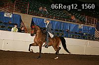 06reg12_1560 proof