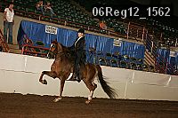 06reg12_1562 proof