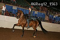 06reg12_1563 proof