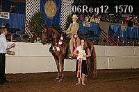 06reg12_1570 proof