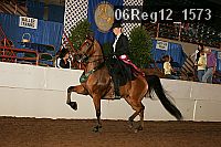 06reg12_1573 proof