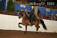 06reg12_1592 proof