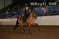 06reg12_1600 proof