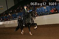 06reg12_1601 proof