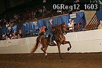 06reg12_1603 proof