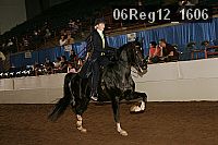 06reg12_1606 proof