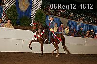 06reg12_1612 proof