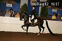 06reg12_1617 proof