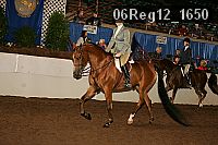 06reg12_1650 proof