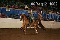 06reg12_1662 proof